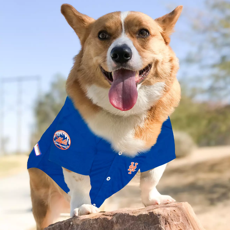 150GSM Jersey de malla Jersey de béisbol para perros (sublimación completa) #500055