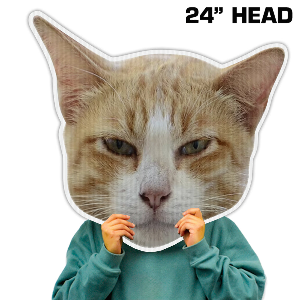 Big Heads